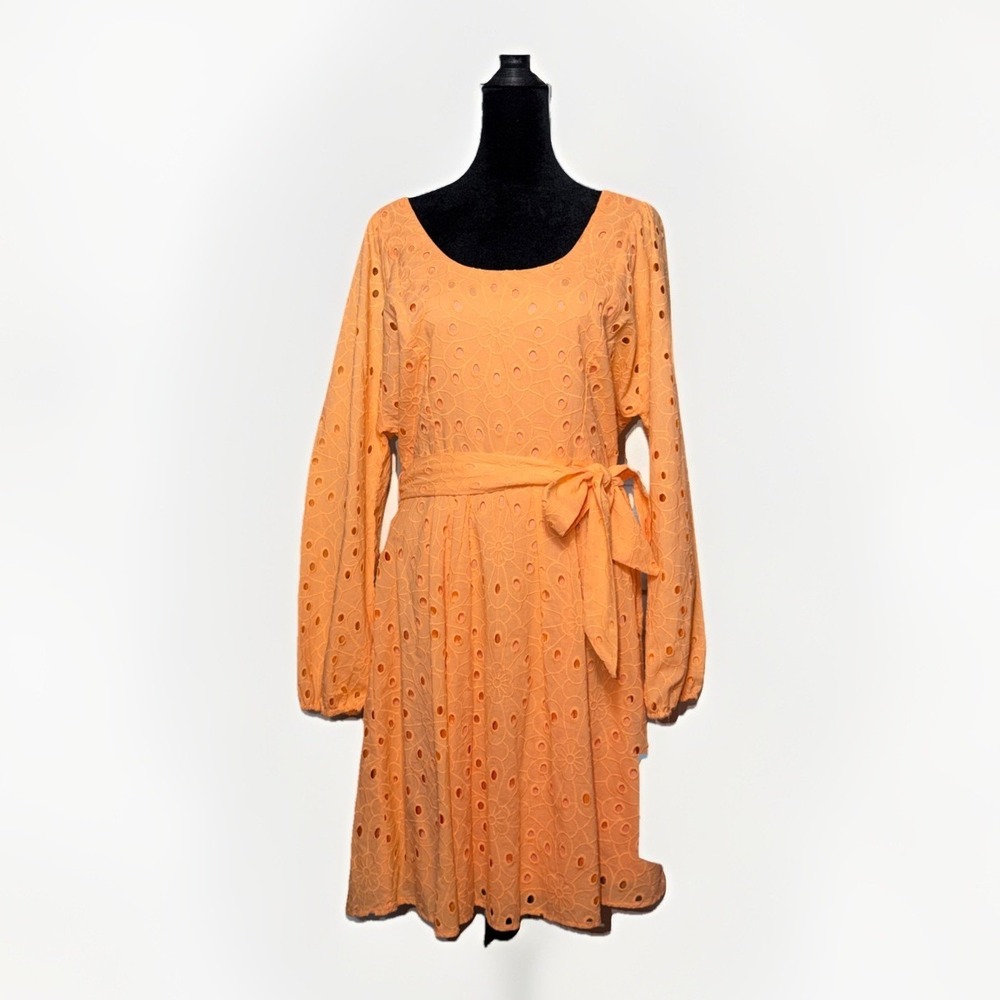 London Times Eyelet A-Line‎ Dress 10 Long Sleeves Scoop Neck Bishop Sleeve Lined